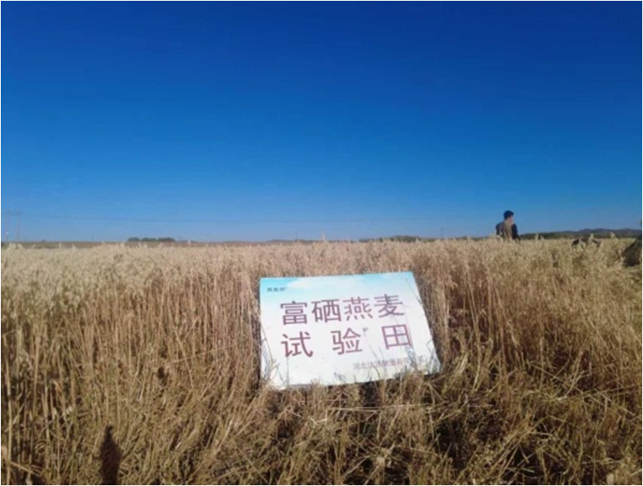 厂区实拍
